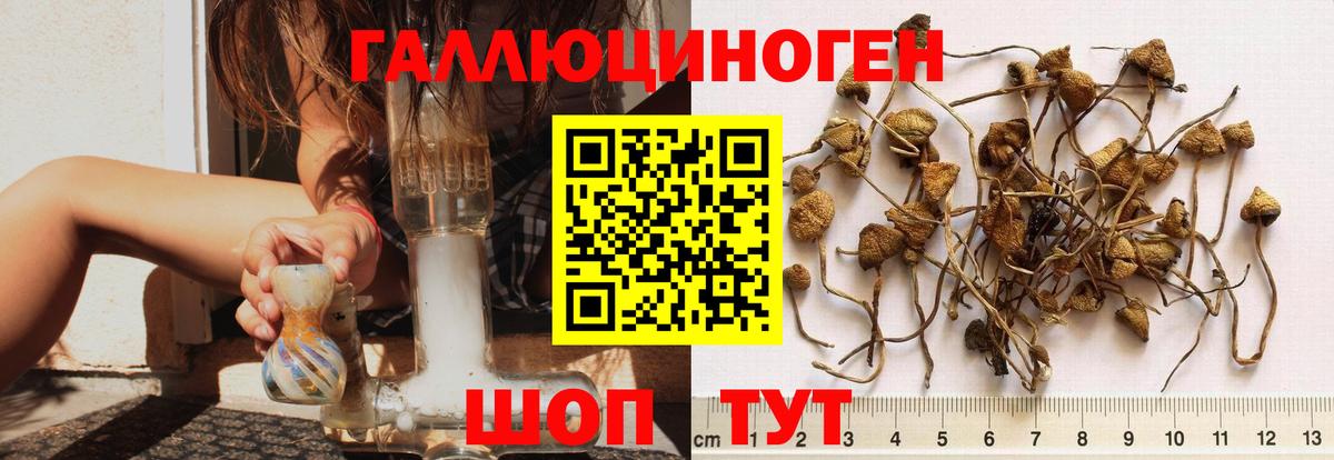 Галлюциногенные грибы MAGIC MUSHROOMS  Вход с VPN  Тобольск  Галлюциногенные грибы Psilocybine cubensis 